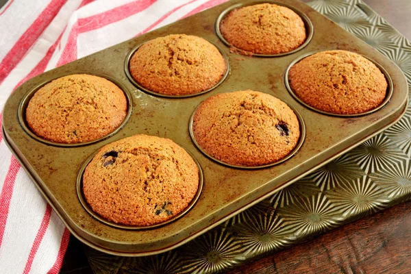 Muffins de farelo de mirtilo caseiros — Fotografia de Stock