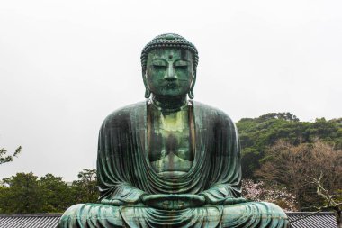 Kamakura Daibutsu (Kamakura 'nın Büyük Buda' sı) Japonya 'nın başkenti Kamakura' da