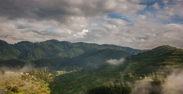 Uganda 'nın güneybatısında, Uganda, Kongo ve Ruanda sınırlarındaki Bwindi Engellenemez Orman Ulusal Parkı' nda manzara. Bwindi Ulusal Parkı dağ gorillerinin evidir.