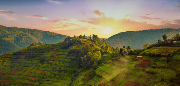 Landscape in southwestern Uganda, at the Bwindi Impenetrable Forest National Park, at the borders of Uganda, Congo and Rwanda. The Bwindi National Park is the home of the mountain gorillas