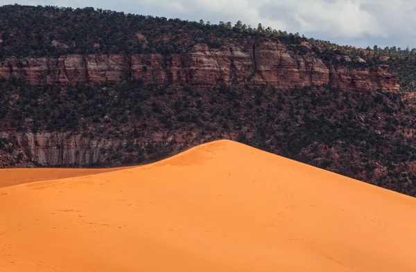 Sand dunes in the Coral Pink Sand Dunes State Park near Kanab, Utah, USA