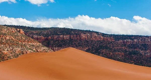 Sand dunes in the Coral Pink Sand Dunes State Park near Kanab, Utah, USA