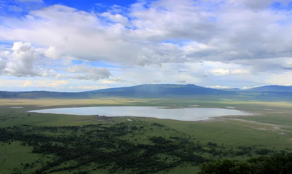 Afrikansk Landskap Ved Ngorongoro Krateret Tanzania – stockfoto