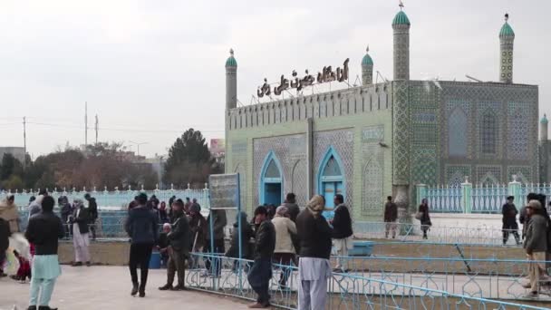 Peuple Afghan Non Identifié Mosquée Bleue Mazar Sharif Nord Afghanistan — Video