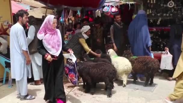 Unbekannte Auf Einem Markt Nordafghanischen Masar Sharif Jahr 2018 — Stockvideo