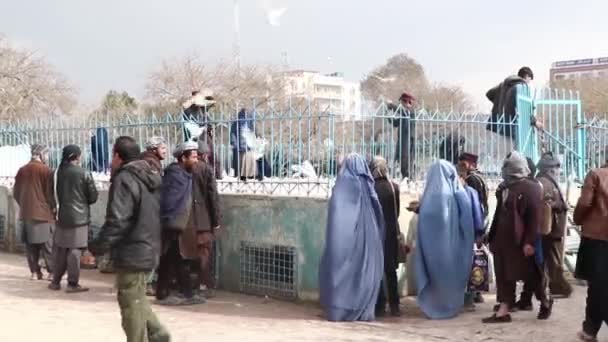2018 Mazar Şerif Kuzey Afganistan Daki Mavi Camii Ndeki Kimliği — Stok video