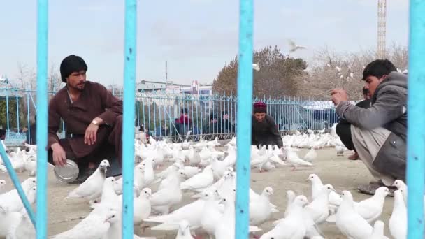 Unidentified Afghan People Blue Mosque Mazar Sharif North Afghanistan 2018 — Stock Video