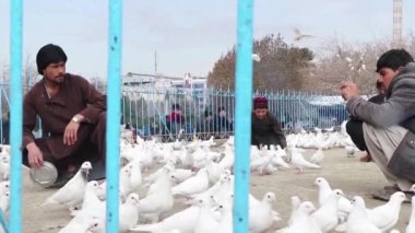 2018 'de Mazar-i-Şerif, Kuzey Afganistan' daki Mavi Camii 'ndeki kimliği belirsiz Afgan vatandaşları.