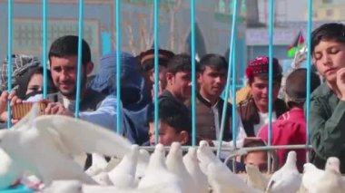 2018 'de Mazar-i-Şerif, Kuzey Afganistan' daki Mavi Camii 'ndeki kimliği belirsiz Afgan vatandaşları.