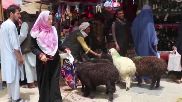 Unidentified People Market Mazar Sharif North Afghanistan 2018 — Stock Video