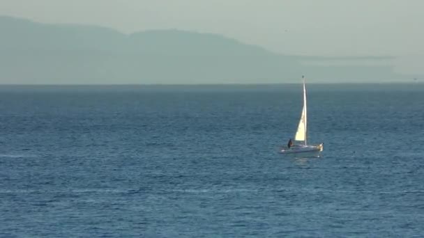 Zeiljacht Vanaf Twin Lakes Beach Bij Zonsondergang Santa Cruz Californië — Stockvideo