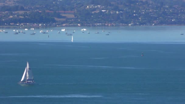 San Francisco Bay Seen Coit Tower Telegraph Hill San Francisco — Αρχείο Βίντεο