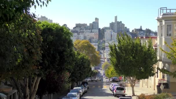 Pemandangan Greenwich Street Seperti Yang Terlihat Dari Telegraph Hill San — Stok Video