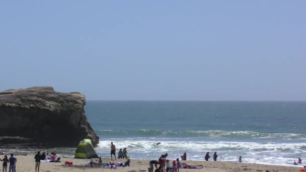 Oidentifierade Människor Vid Natural Bridges State Beach Santa Cruz California — Stockvideo