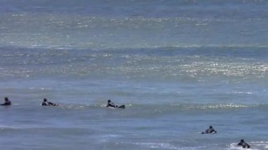 Kimliği belirsiz sörfçüler Ano Nuevo Eyalet Parkı, Santa Cruz County, California, Usa, 2018