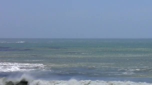 Pasifik Okyanusu Ano Nuevo Eyalet Parkı Santa Cruz County California — Stok video