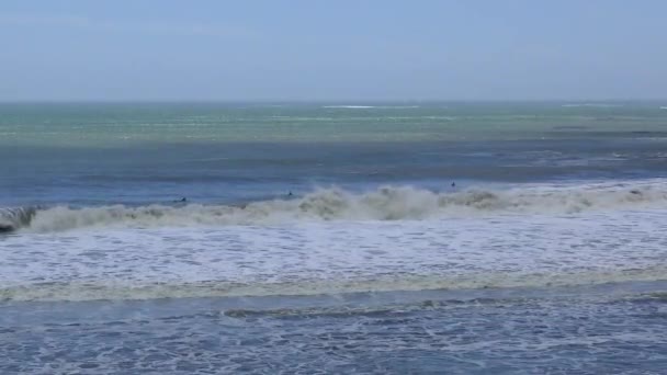 Azonosítatlan Szörfösök Santa Cruz Megyei Ano Nuevo State Parkban Kalifornia — Stock videók