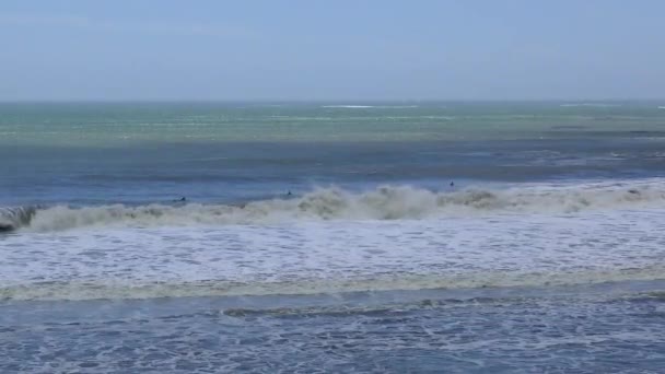 Unidentify Surfers Ano Nuevo State Park Santa Cruz County Καλιφόρνια — Αρχείο Βίντεο