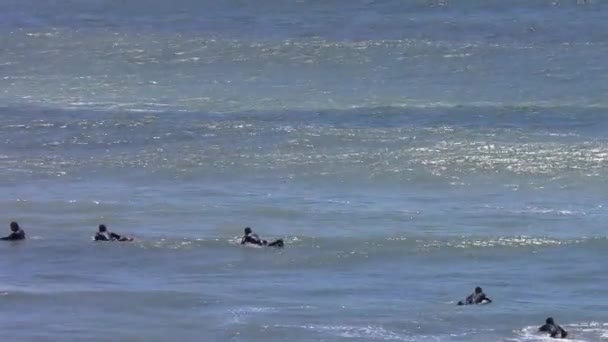 Surfistas Identificados Ano Nuevo State Park Condado Santa Cruz California — Vídeos de Stock