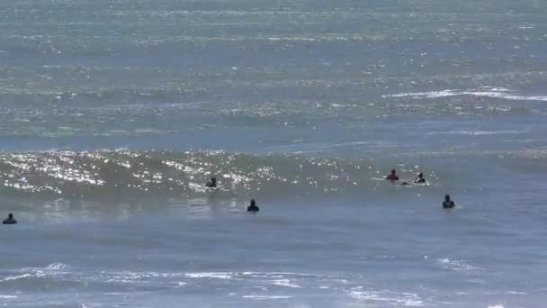 Surfisti Non Identificati All Ano Nuevo State Park Contea Santa — Video Stock
