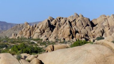 Güney Kaliforniya 'daki Joshua Tree Ulusal Parkı, Usa, 2017