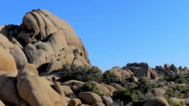 Güney Kaliforniya 'daki Joshua Tree Ulusal Parkı, Usa, 2017