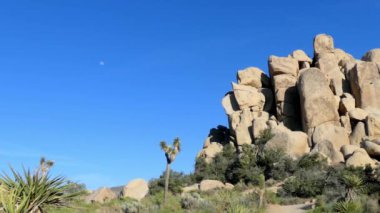 Güney Kaliforniya 'daki Joshua Tree Ulusal Parkı, Usa, 2017
