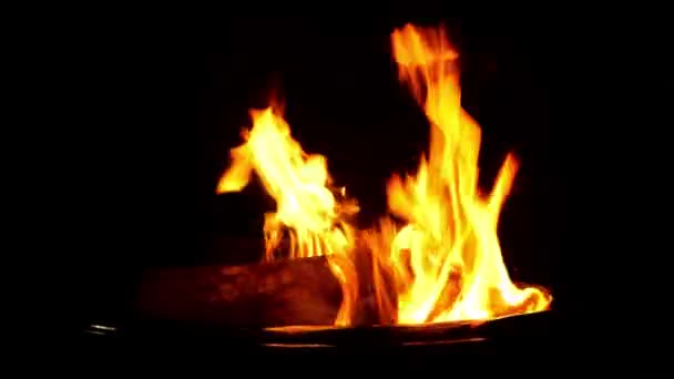 Vuur Branden Zwarte Achtergrond — Stockvideo