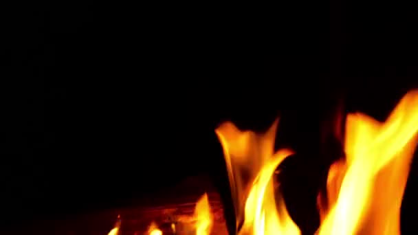 Fire Burning Black Background — Stock Video