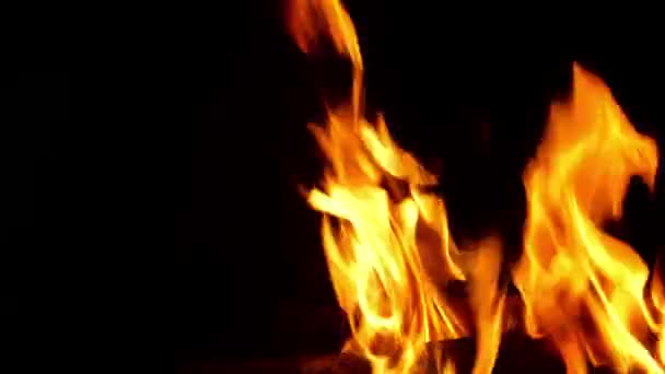 Vuur Branden Zwarte Achtergrond — Stockvideo
