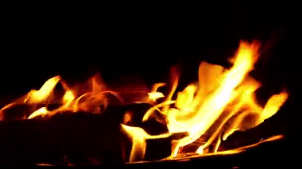 Φωτιά Καίει Πάνω Από Μαύρο Φόντο — Αρχείο Βίντεο