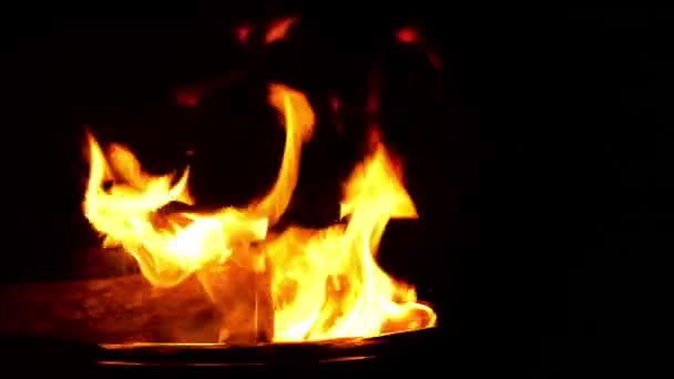 Fire Burning Black Background — Stock Video