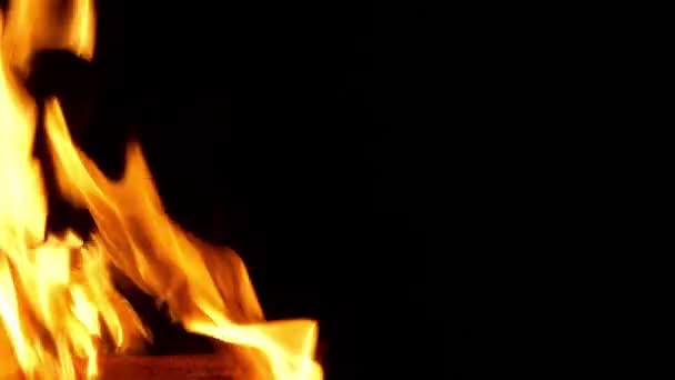 Oheň Hoří Černém Pozadí — Stock video