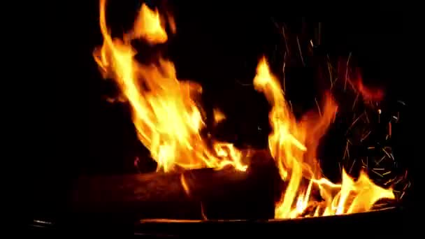 Ogień Płonie Czarnym Tle — Wideo stockowe