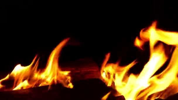 Fire Burning Black Background — Stock Video