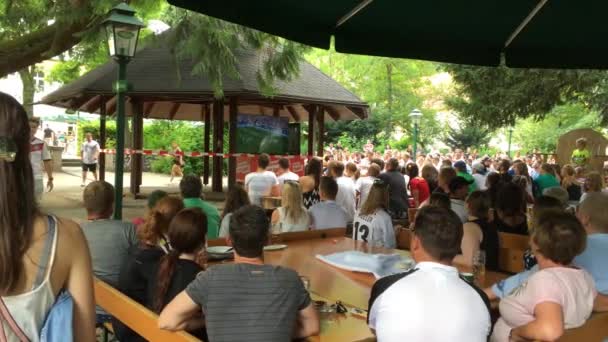 Passau Juni 2018 Die Deutschen Fußballfans Einer Freiluftkneipe Sehen Schweigend — Stockvideo