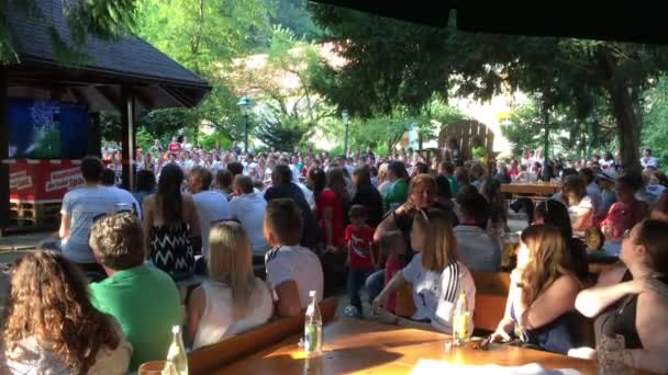 Passau Juni 2018 Die Deutschen Fußballfans Einer Freiluftkneipe Sehen Schweigend — Stockvideo