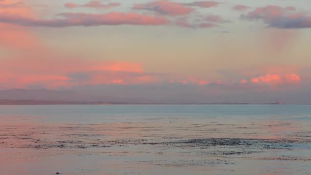 Santa Cruz Pleasure Point Aan Noordelijke Monterey Bay Santa Cruz — Stockvideo