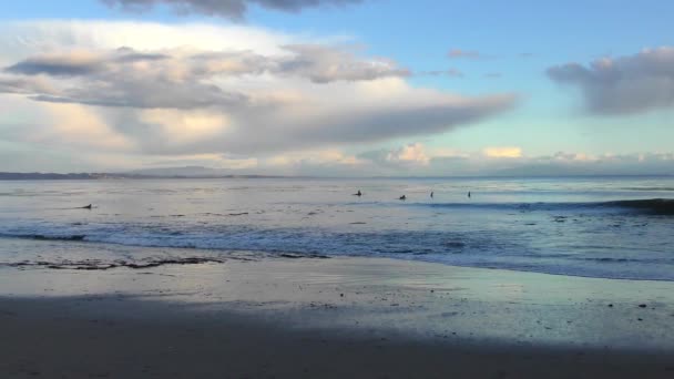 サンタクルスの未確認サーファー プレジャーポイント サンタクルス郡のモントレー湾北部 世界的に有名なサーフィンの場所 — ストック動画