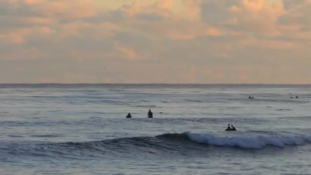 Αγνώστων Surfers Στο Santa Cruz Pleasure Point Στο Βόρειο Monterey — Αρχείο Βίντεο
