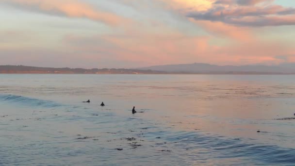 Niezidentyfikowani Surferzy Santa Cruz Pleasure Point Północnej Zatoce Monterey Hrabstwie — Wideo stockowe