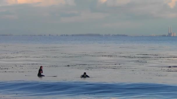 Surfisti Non Identificati Santa Cruz Pleasure Point Nella Monterey Bay — Video Stock