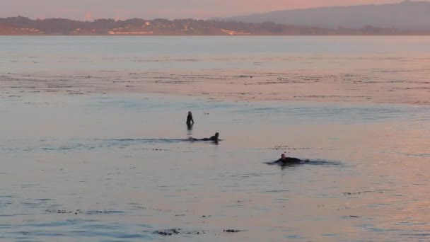 Unidentified Surfers Santa Cruz Pleasure Point Northern Monterey Bay Santa — Stockvideo