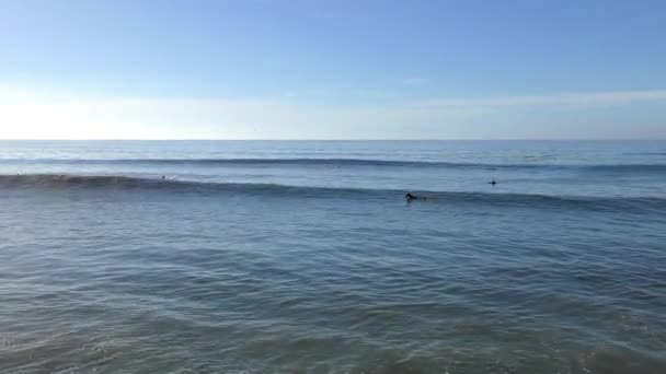 Pacific Ocean Capitola Sea Καλιφόρνια Ούσα 2018 — Αρχείο Βίντεο