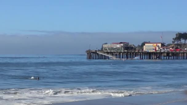 Capitola Wharf Capitola Sea Santa Cruz County Καλιφόρνια Ηπα 2018 — Αρχείο Βίντεο