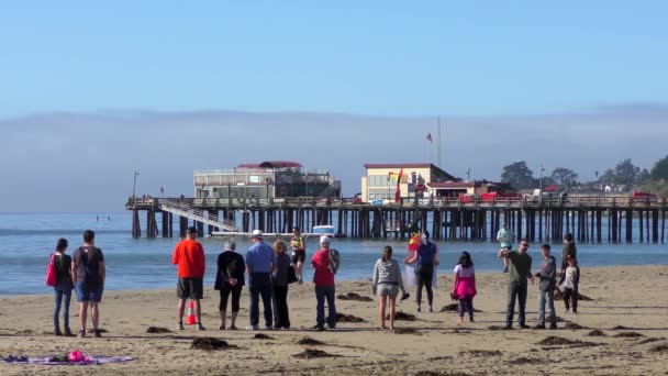 Capitola Sea Kalifornien Oktober 2018 Unbekannte Beim Nixe Triathlon Und — Stockvideo