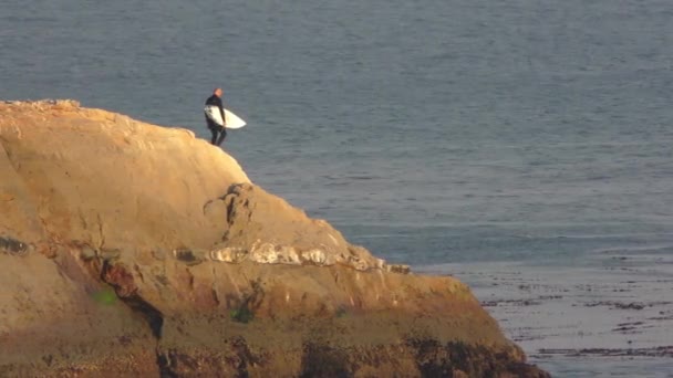 Niezidentyfikowani Surferzy Santa Cruz Steamer Lane West Side California Usa — Wideo stockowe