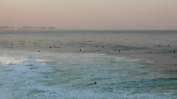 Surfistas Não Identificados Santa Cruz Steamer Lane West Side Califórnia — Vídeo de Stock