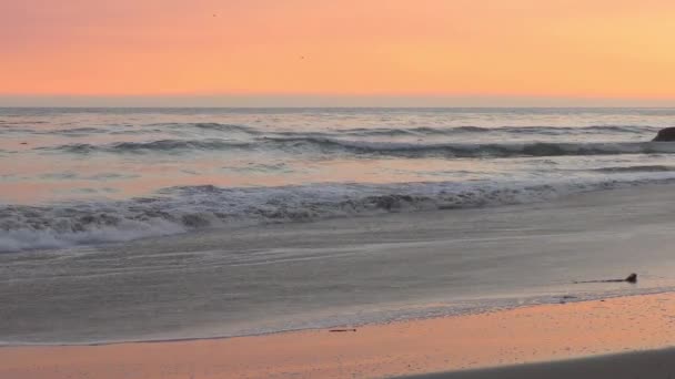 Ηλιοβασίλεμα Στον Ειρηνικό Ωκεανό Στη Santa Cruz Καλιφόρνια Usa Περίπου — Αρχείο Βίντεο