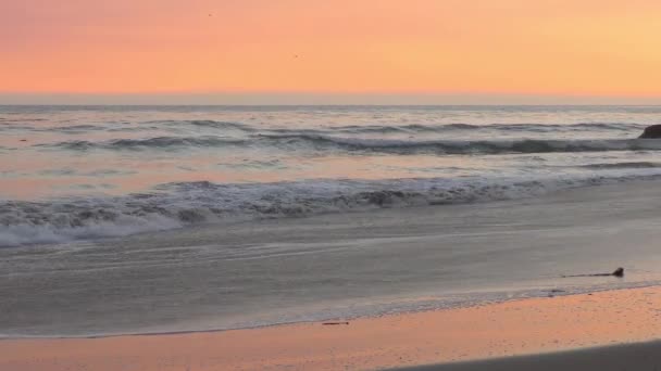 Zonsondergang Aan Stille Oceaan Santa Cruz Californië Usa Circa Oktober — Stockvideo